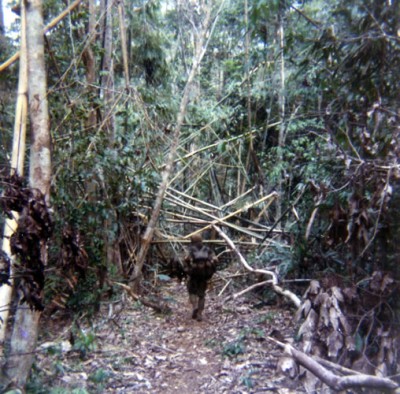one Grunt on trail (2020_05_25 21_26_46 UTC).jpg